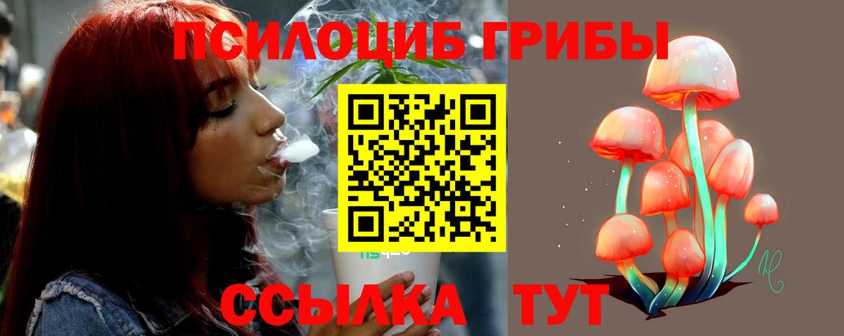 что такое наркотик  Псилоцибиновые грибы прущие грибы  Вход с VPN  Псилоцибиновые грибы мицелий  Каменск-Шахтинский 
